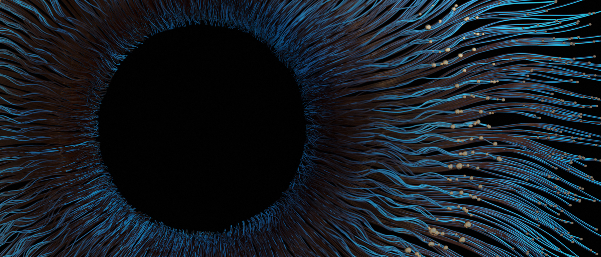 Close up of an eye